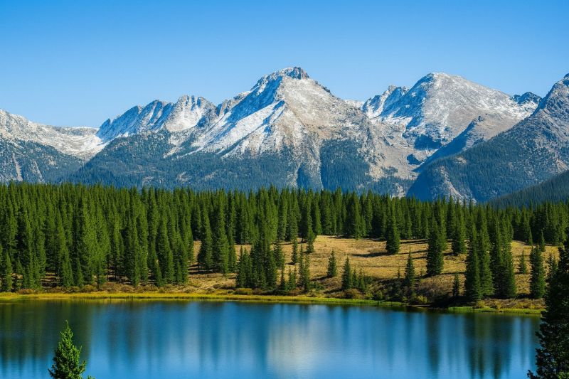 Local Cabinet Door Repair in Lafayette, CO