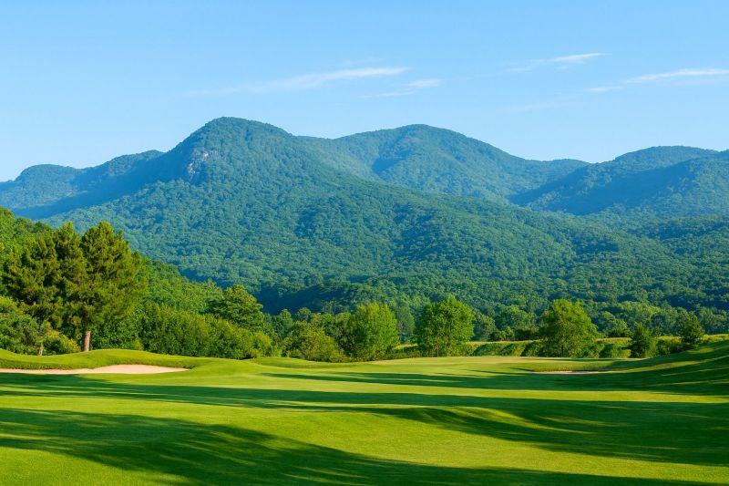 Local Cabinet Hinge Replacement in Beaumont, CA